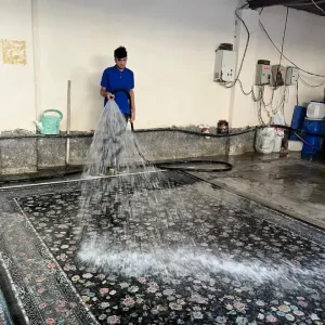 شستشوی حرفه‌ای فرش در کار خانه قالیشویی بازدان (طلوع)